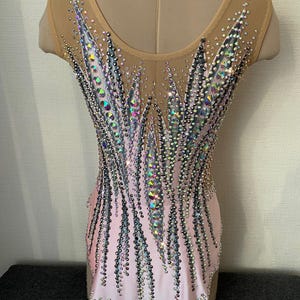 May include: A pink leotard with a nude mesh upper section, adorned with iridescent rhinestones in a stylized feather design. The rhinestones are arranged in vertical lines and clusters, creating a sparkling effect. This garment is designed for gymnastics or dance performances.
