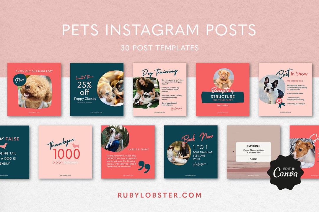 Pets Instagram Template Instagram Dog Template Pet Business - Etsy