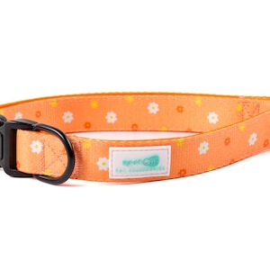 Luxurious Floral Dog Collar | Premium Durability | Adjustable Fit | Stylish Designer Pattern