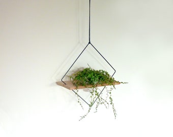 Macetero geométrico de interior: metal negro, blanco o cobre y madera de roble.