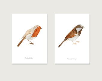 Vogel Illustrationen Etsy
