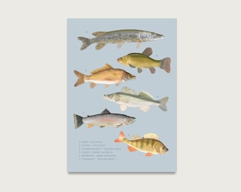 Postcard "Fish - organic" P_96 for anglers, fish lovers | Freshwater fish || HERZ & PAPIER