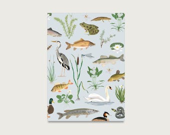 Postcard "Around the water" P_89 for nature, animals, plants, foresters, hunters, nature lovers || HERZ & PAPIER