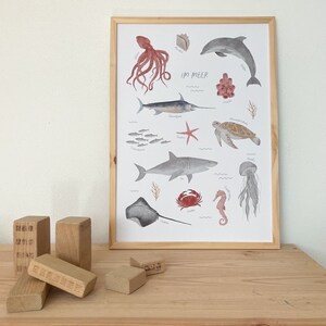 Cartel "En el mar" - Animales marinos | Imprimir | habitación infantil | | Art Print A3 | de pescado | de medusas Niños | Naturaleza | Ilustración || CORAZÓN Y PAPEL imagen 2