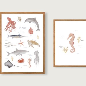 Cartel "En el mar" - Animales marinos | Imprimir | habitación infantil | | Art Print A3 | de pescado | de medusas Niños | Naturaleza | Ilustración || CORAZÓN Y PAPEL imagen 5