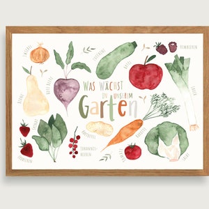 Gartenfrüchte - Print Poster Kunstdruck A3 - Obst | Gemüse | Garten | Kinder | Illustration || HERZ & PAPIER
