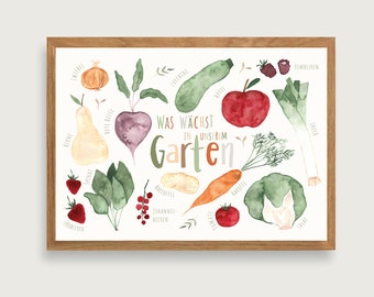 Garden Fruits - Print Poster Art Print A3 - Fruit | Vegetables | Garden | Children | Illustration || HEART & PAPER