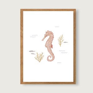 Puede incluir: Una ilustraci&oacute;n acuarela enmarcada de un caballito de mar rosa sobre un fondo blanco. El caballito de mar est&aacute; rodeado de peque&ntilde;os peces grises y algas marrones.