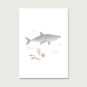 Postkarte "Hai" P_60 | Kinder | Einladung | Geburtstagseinladung | Haifisch | Jungs | Buben | Kindergeburtstag |  |  || HERZ & PAPIER