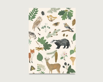 Postcard "Forest" P_82 for foresters, hunters, nature lovers || HEART & PAPER