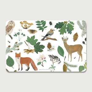 Può includere: Uno sfondo bianco con un'illustrazione colorata di una scena di bosco. L'illustrazione include una volpe, un cervo, un uccello, funghi, foglie e altri elementi del bosco. Il testo "www.herzundpapier.com" è in basso nell'immagine.