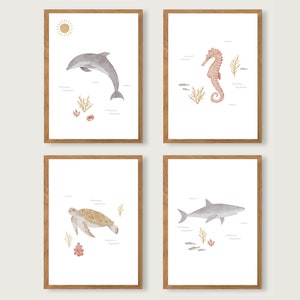 Conjunto de carteles de animales marinos A4 | Imprimir | Cartel infantil | Habitación infantil | niño | Ilustración | Pescado | Animales | tiburón | tortuga || CORAZÓN Y PAPEL