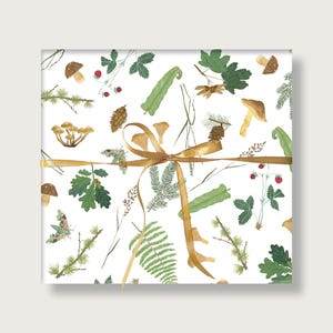 Carta da regalo "Foresta" | Din A2 | arco | Archi | Illustrazione | compleanno | Illustrazione foresta | Natura || CUORE E CARTA