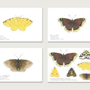 Carte postale | Papillons ensemble de 4 | Gouache | Aquarelle | Illustration | Nature | Manteau de deuil | Mireille jaune | oiseau forestier || COEUR & PAPIER