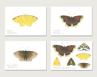 Postcard | Butterflies set of 4 | Gouache | Watercolor | Illustration | Nature | Mourning cloak | Yellow moth | Forest bird || HEART & PAPER