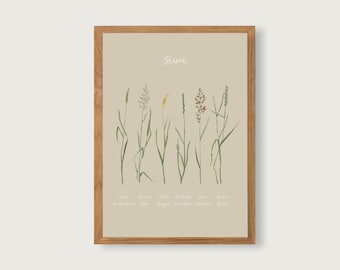 Grasses - Print Poster Art Print A4 - Botanical Gouache - Illustration || HEART & PAPER