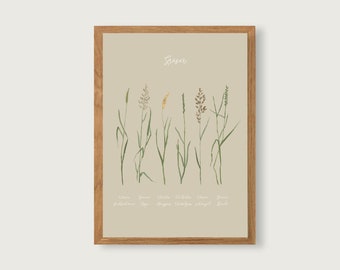 Grasses - Print Poster Art Print A4 - Botanical Gouache - Illustration || HEART & PAPER