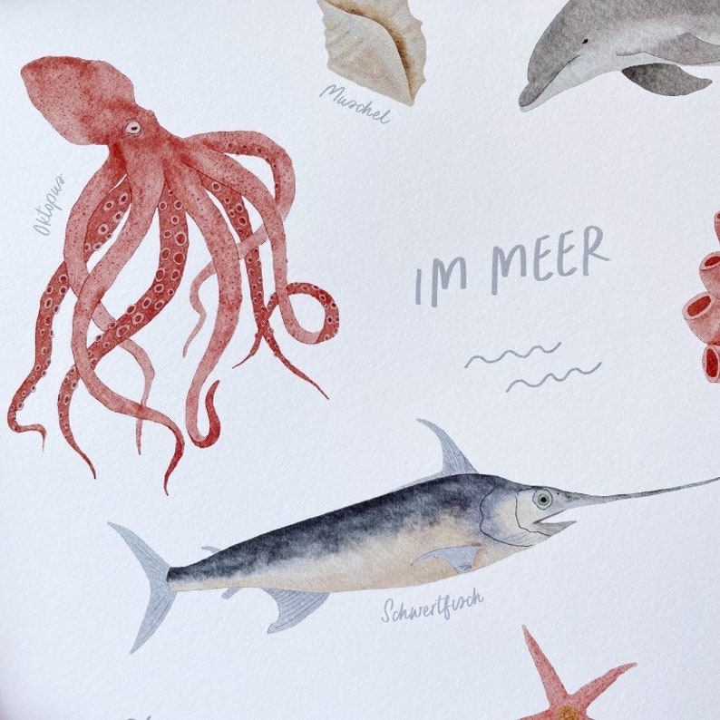 Cartel "En el mar" - Animales marinos | Imprimir | habitación infantil | | Art Print A3 | de pescado | de medusas Niños | Naturaleza | Ilustración || CORAZÓN Y PAPEL imagen 4