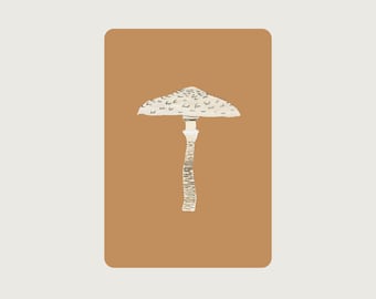 Parasol PE_12 | Mushroom - Postcard with rounded corners - Treasures of Nature - HERZ & PAPIER