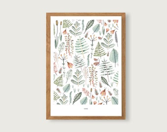 Ferns - Print Poster Art Print A4 - Botanical Watercolor - Illustration || HEART & PAPER