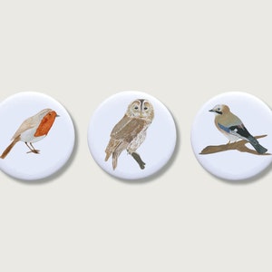 Set di 3 magneti "Uccelli" | Magnete per bambini | Animali | Foresta | Ragazze | Pulsante | ragazzi | Ragazzi | ragazzo || CUORE E CARTA