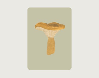 Brätling PE_11 | Mushroom - Postcard with rounded corners - Treasures of nature - HERZ & PAPIER