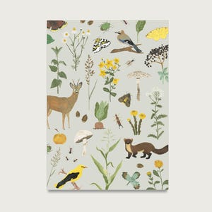 Postkarte "Auf der Wiese" P_88 für Natur, Tiere, Pflanzen, Förster, Jäger, Naturliebhaber  || HERZ & PAPIER
