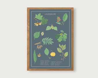 Laubbäume - Print Poster Kunstdruck A3 - Laubbäume | Baum | Herbarium | Ahorn | Eiche | Gouache | Illustration | Kunstdruck || HERZ & PAPIER