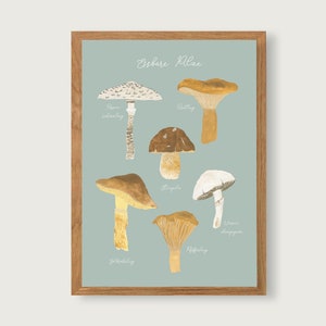 Essbare Pilze - Print Poster Kunstdruck A4 - botanische Gouache - Illustration || HERZ & PAPIER