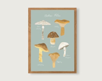 Essbare Pilze - Print Poster Kunstdruck A4 - botanische Gouache - Illustration || HERZ & PAPIER