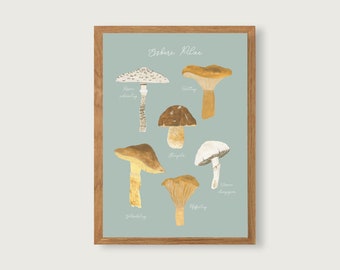 Edible Mushrooms - Print Poster Art Print A4 - Botanical Gouache - Illustration || HEART & PAPER