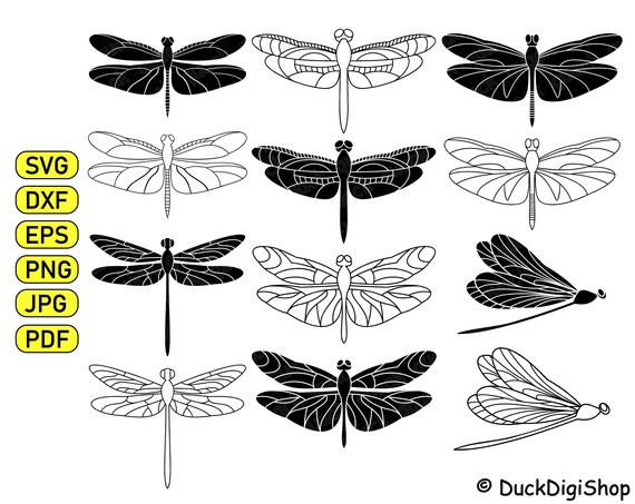 Download Dragonfly Bundle Dragonfly Vector Svg Dragonfly Png Dragonfly Etsy