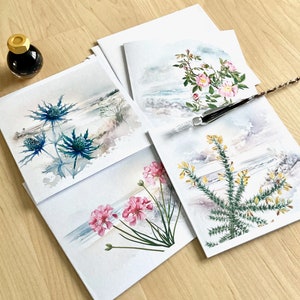 Cahiers d'impression aquarelle. Ensemble de 4 cartes sur les plantes côtières, ensemble-cadeau de cartes de correspondance pour toutes les occasions.