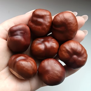 Castañas de Indias secas grandes de 30-40 mm, suministros para manualidades naturales y orgánicos, decoración otoñal para el hogar o la boda - Juego de 100, 50, 20 o 10 piezas