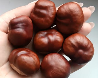 May include: A collection of seven shiny, dark brown conkers, also known as horse chestnuts, are held in a hand. The conkers have a smooth, rounded shape and vary slightly in size. The background is a soft, neutral color.