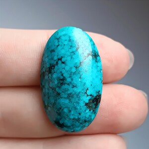 May include: Oval-shaped turquoise gemstone with a speckled pattern and dark matrix. The polished stone displays a vibrant blue-green hue, with a smooth, glossy surface. The gemstone is held in a hand, showcasing its natural beauty and unique characteristics.