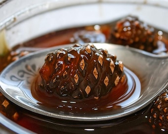 May include: A close-up shot of a jar containing a dark amber liquid with several small pine cones. The pine cones are dark brown with golden tips, resting in a spoon. The liquid appears syrupy, possibly a preserve or syrup.