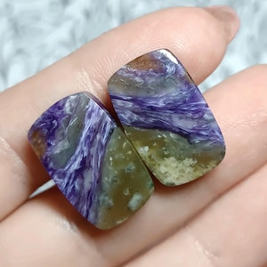 Può includere: Due pietre preziose di charoite lucidata. Le pietre presentano un mix di tonalità viola, bianche e marroni con un motivo a vortice e marmorizzato. Le pietre rettangolari sono tenute in una mano.