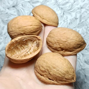 May include: A collection of brown walnuts, some intact and others with their shells split open. The walnuts display a textured surface and are presented against a light backdrop. The image emphasizes the natural colour and texture of the nuts.