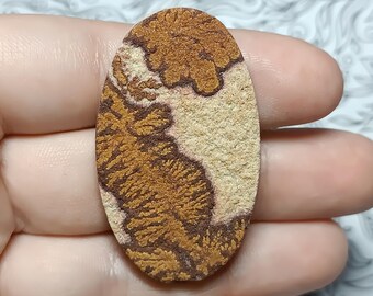 Cabochon de dendrite de psilomélane Dendrites de fer sur matrice sédimentaire naturelle Arbre ou algue de forme ovale Taille du pendentif gemme en vrac 47 x 28 mm