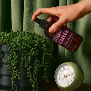 Organic Indoor Plant Fertilizer: Natural Plant Care Spray