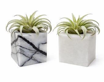 Marble Cube Air Plant Holder | Minimal Stone Planter | Modern Decor