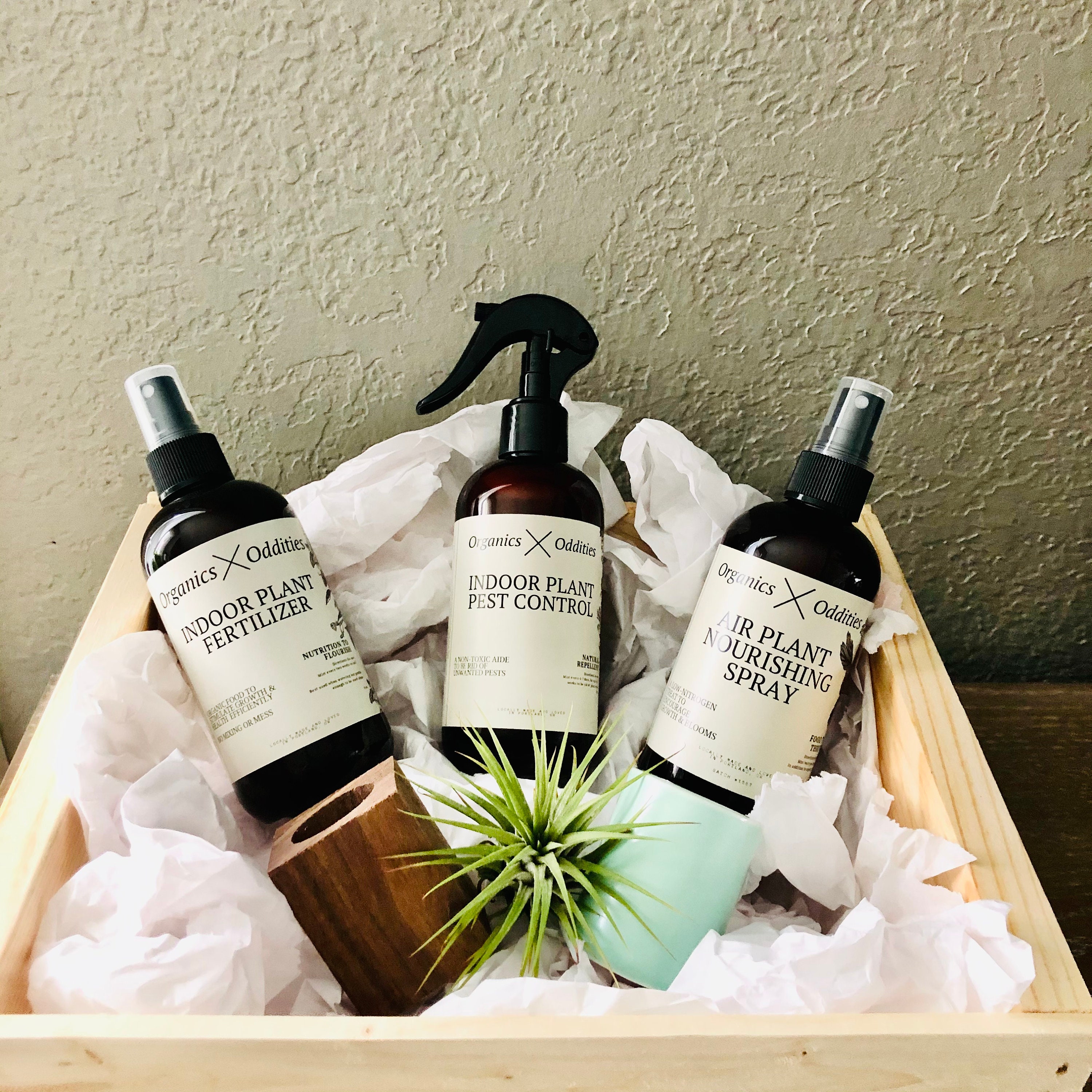Plant Lovers Gift Botanical Present Gifts For Her Gifts For Etsy