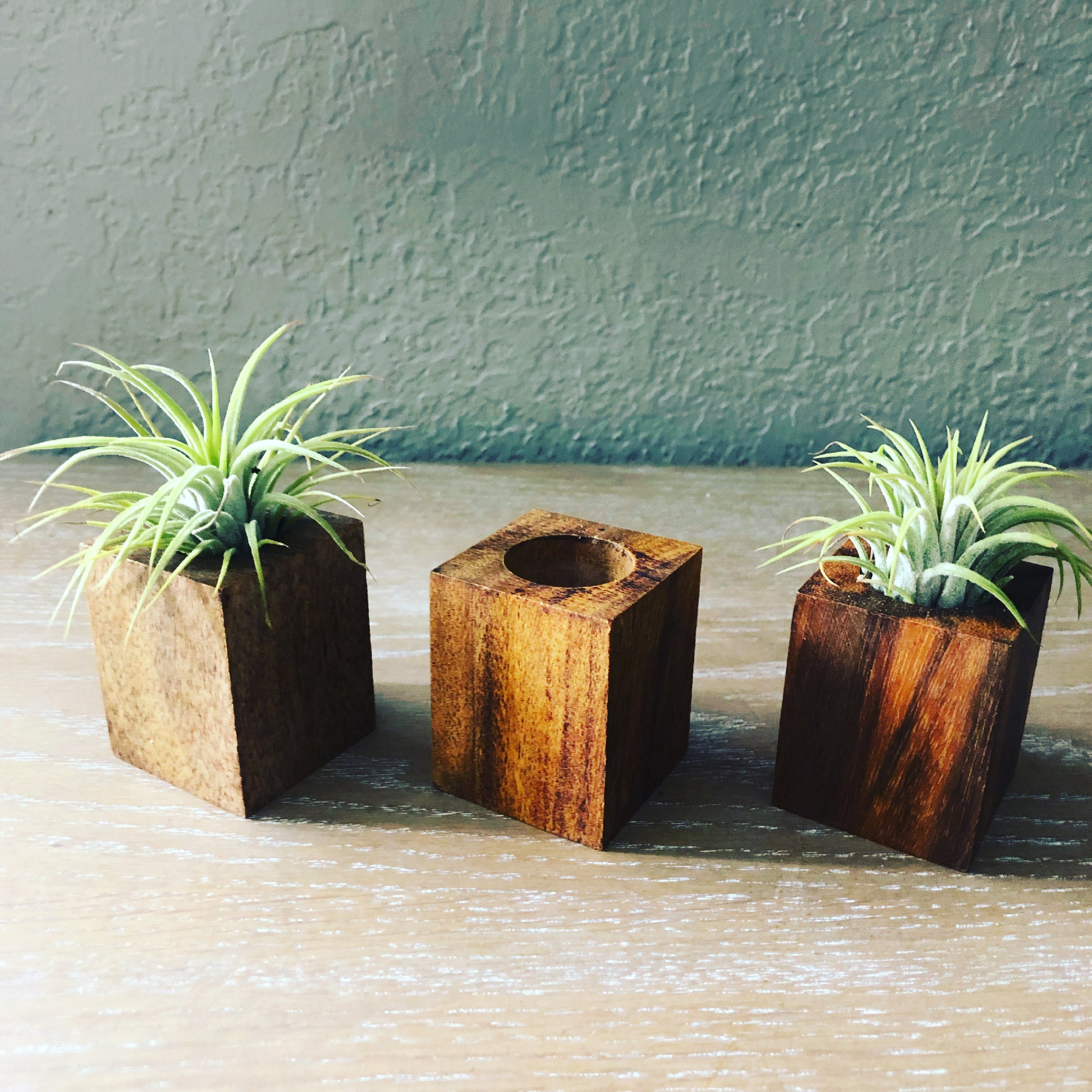 Pot - Modern Houseplant Pots & Vessels by Braid & Wood