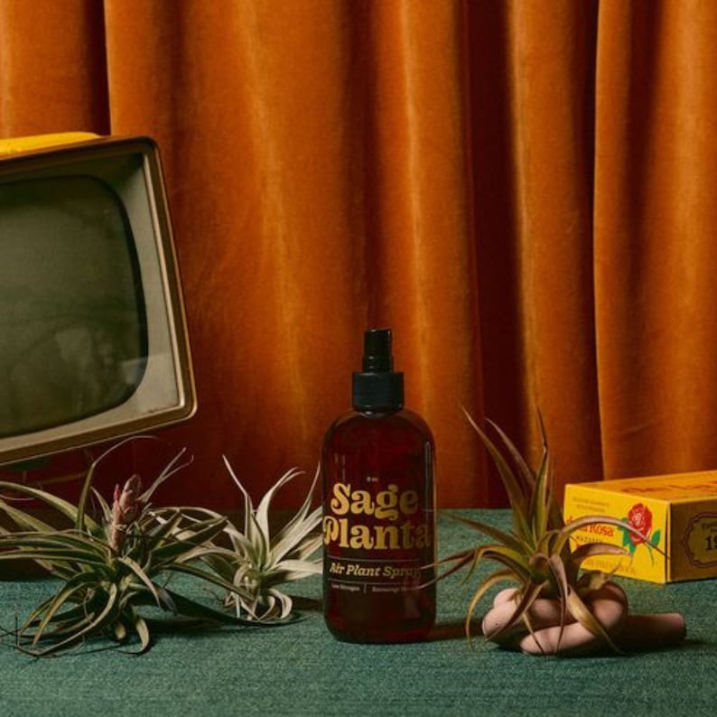 Sage Planta Air Plant Spray - Thumbnail 2
