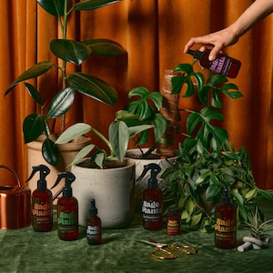 Organic Natural Plant Bug Care, Plant Pest Care, Bug Care, Plant Essentials, Treats Many Common Plant Pests, Organic Pest Control
