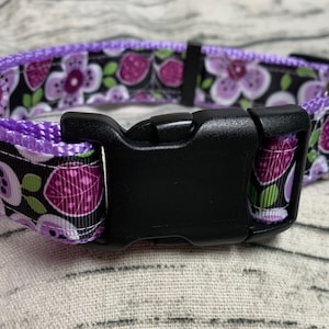 Purple Flower Dog Collar/Leash