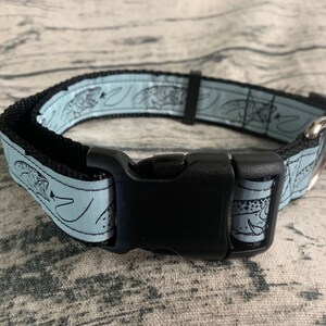 Fly Fishing Dog Collar/Leash