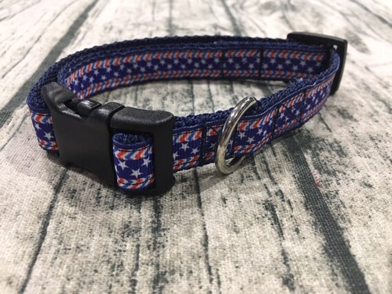 bmw dog collar