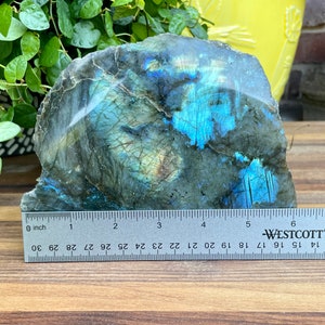 Giant Rainbow Labradorite Semi-Polished Freeform, Full Flash, Free Standing Display Specimen, Natural Labradorite,  4 lbs., 2 oz.